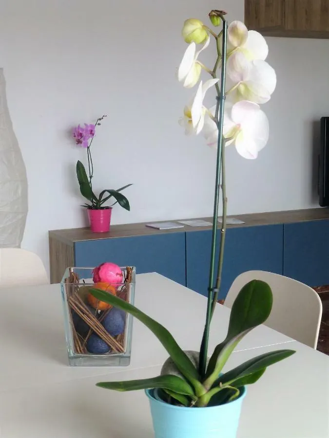 Apartamento Centrico Y Luminoso Apartment Estepona